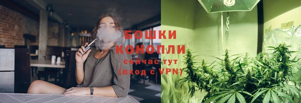 прущий лед Белокуриха