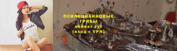 ПСИЛОЦИБИНОВЫЕ ГРИБЫ Беломорск