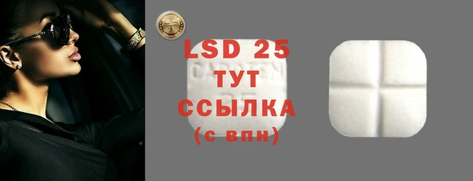 ПСИЛОЦИБИНОВЫЕ ГРИБЫ Беломорск