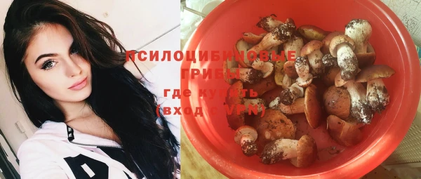 прущий лед Белокуриха
