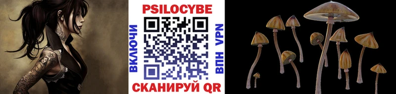 Галлюциногенные грибы Cubensis Гудермес