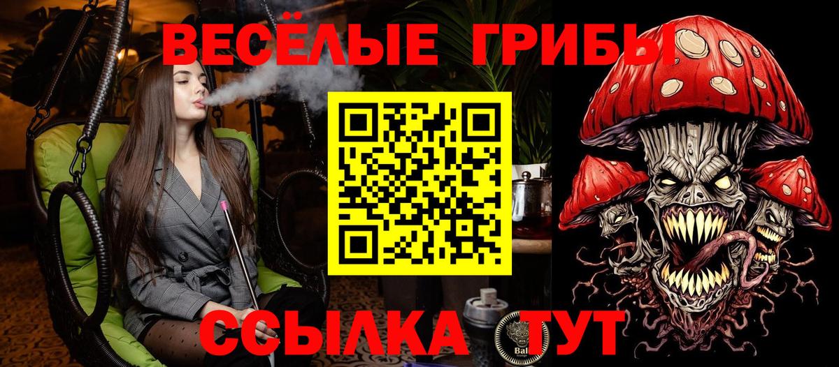 Галлюциногенные грибы Cubensis  Псилоцибиновые грибы GOLDEN TEACHER  Вход с VPN  Гудермес 
