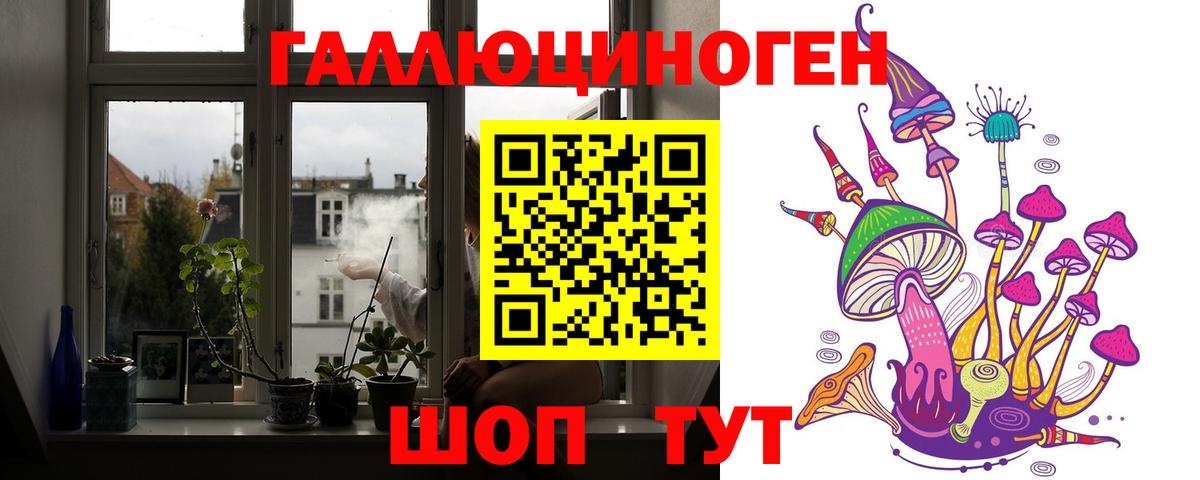 Галлюциногенные грибы Psilocybe Гудермес