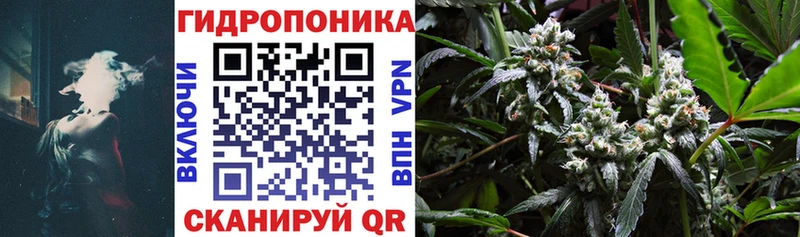 KRAKEN ТОР  Гудермес  Конопля Ganja 